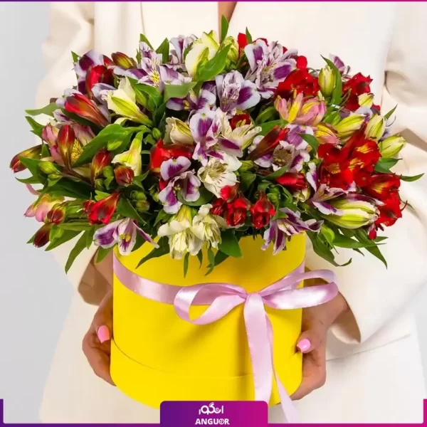 خرید + سفارش باکس گل آلسترومریا رنگی - انگور