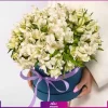 باکس گل آلسترومریا سفید (25 شاخه) - خرید آنلاین گل - انگور