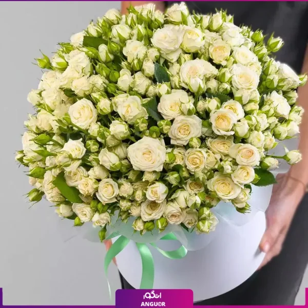 خرید آنلاین باکس گل رز مینیاتوری سفید-