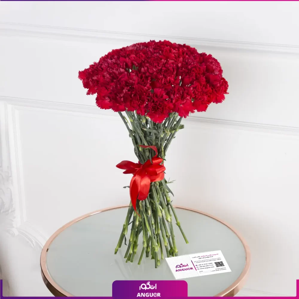 دسته گل 35 شاخه گل میخک قرمز - خرید دسته گل میخک - انگور
