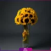 دسته گل آفتابگردان با گلدان شیشه ای 25 شاخه