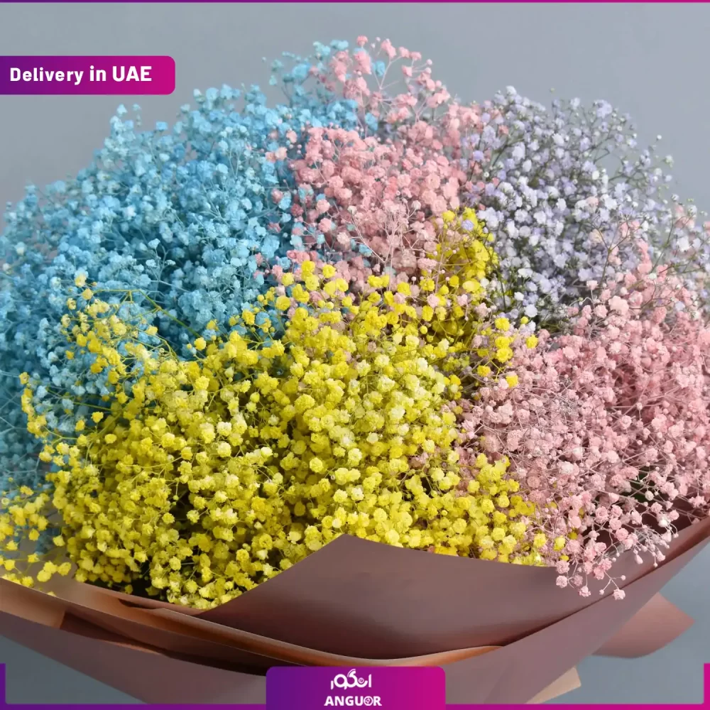 دسته گل ژیپسوفیلا رنگی (امارات ) - Image 2