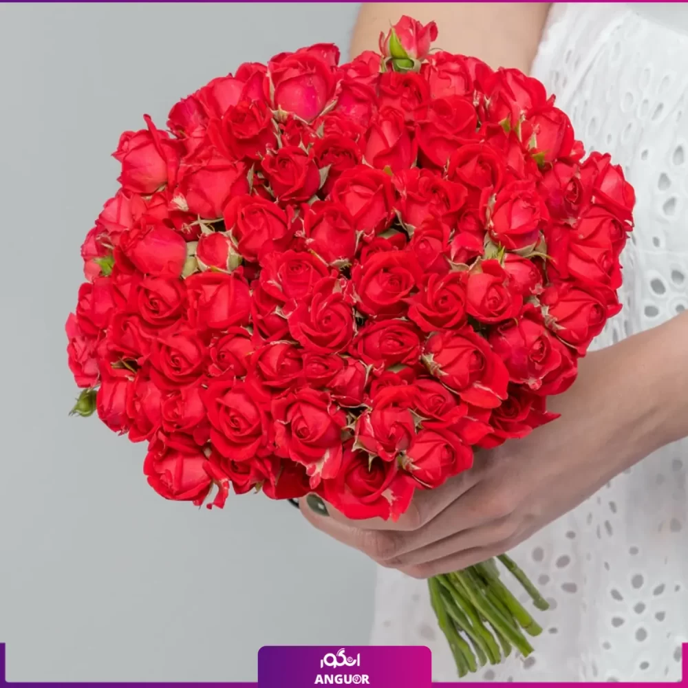 خرید آنلاین گل - گل رز مینیاتوری قرمز- دسته گل فرمالیته عروس- گلفروشی آنلاین انگور