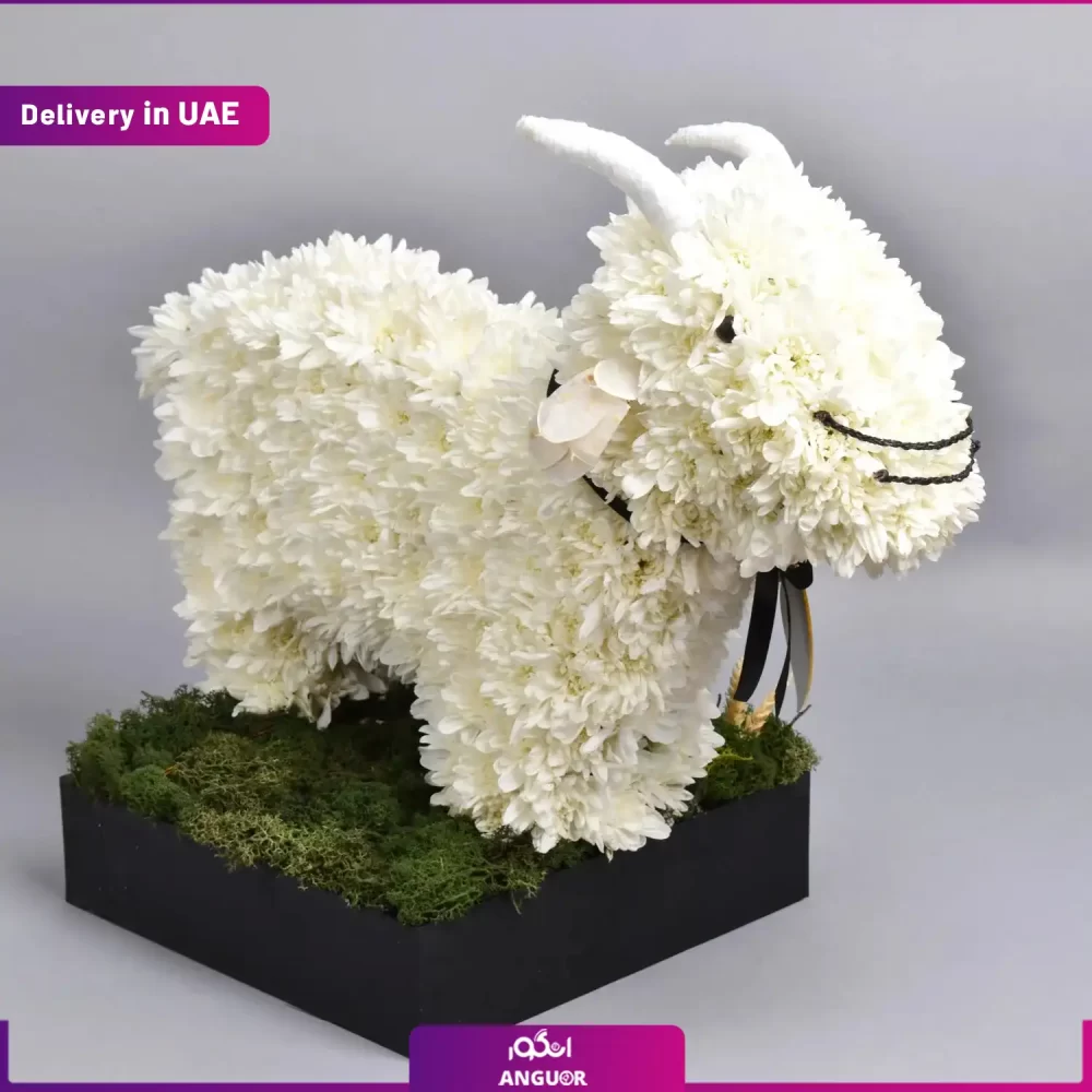 طرح گوسفند گلدار ویژه عید قربان (دبی و امارات) - Image 2