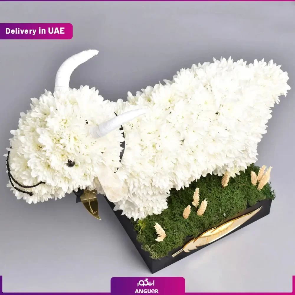 طرح گوسفند گلدار ویژه عید قربان (دبی و امارات) - Image 3