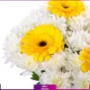 خرید دسته گل ژربرا زرد و داوودی سفید - خرید آنلاین گل - انگور