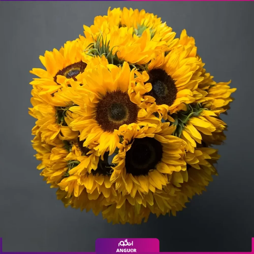 دسته گل آفتابگردان 25 شاخه با گلدان شیشه ای - خرید گل آفتابگردان