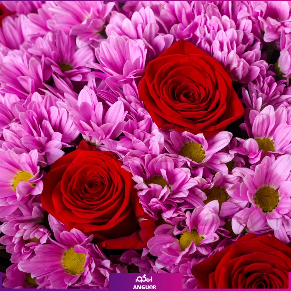 خرید گل داوودی - خرید آنلاین گل - خرید گل رز و داوودی صورتی
