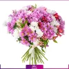 خرید دسته گل داوودی صورتی و آلسترومریا - خرید آنلاین گل - انگور- خرید گل داوودی سفید
