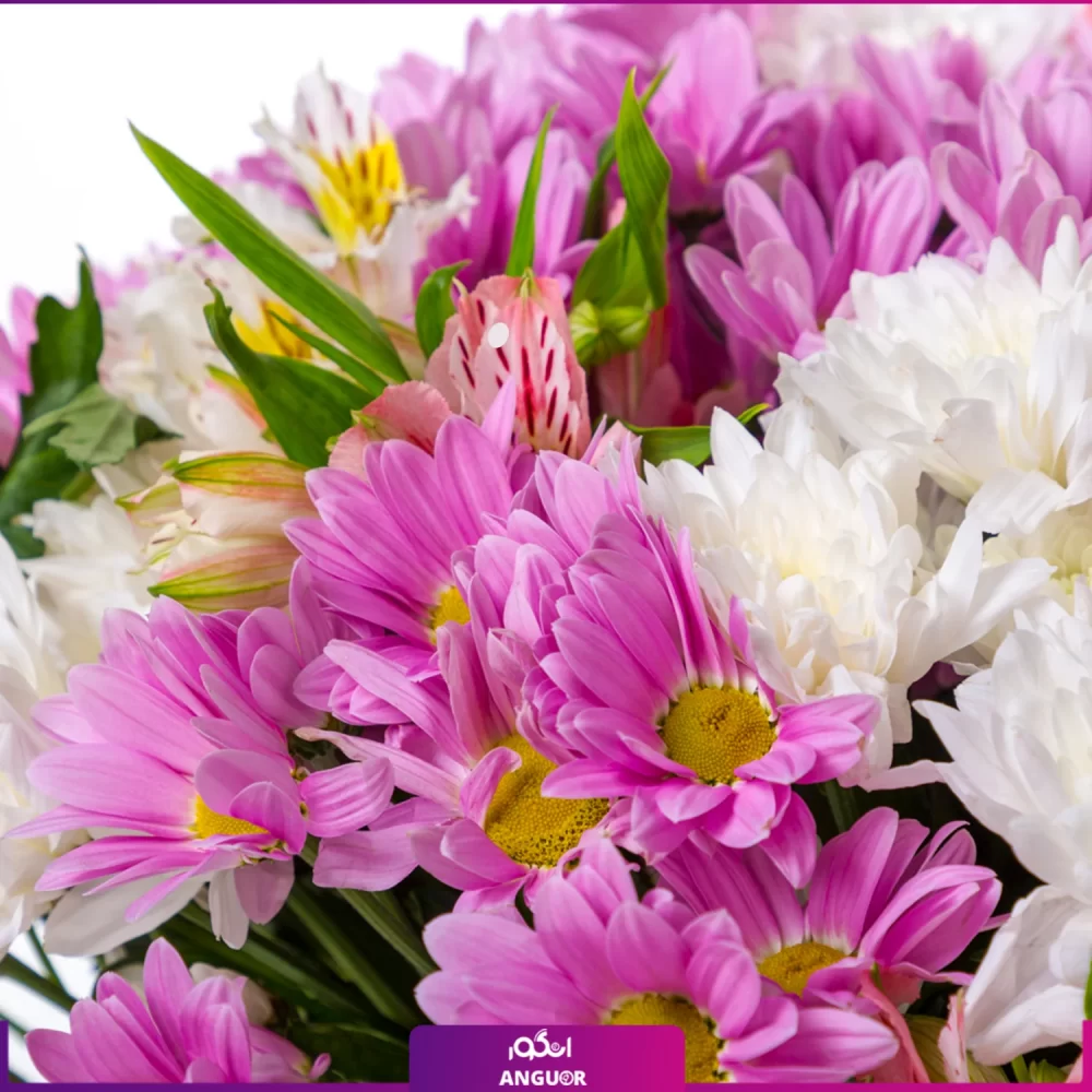 خرید گل داوودی صورتی- خرید دسته گل آلسترومریا و داوودی- خرید آنلاین گل
