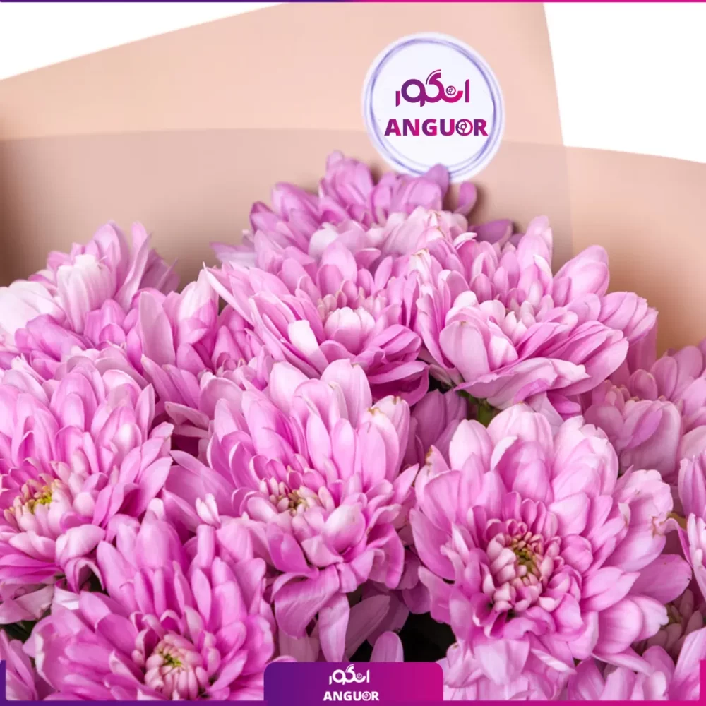 دسته گل داوودی صورتی کوچک - Image 3