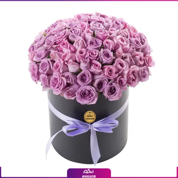 خرید و سفارش آنلاین باکس گل - خرید باکس گل رز بنفش - سفارش باکس گل رز 101 شاخه ای بنفش-انگور