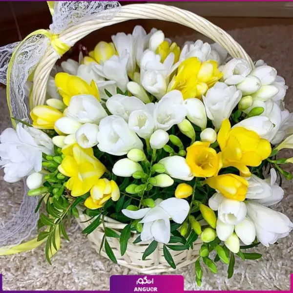 خرید گل فرزیا- خرید گل آنلاین - سفارش گل فرزیای سفید- سبد گل به همراه فرزیای زرد-انگور