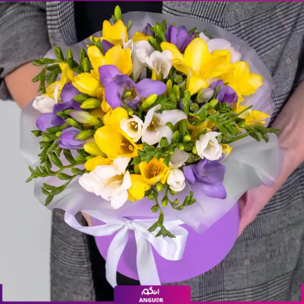 خرید باکس گل فرزیا- سفارش باکس گل فرزیا رنگارنگ- باکس گل فرزیا 25 شاخه-انگور