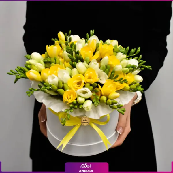 خرید باکس گل فرزیا- سفارش آنلاین گل - باکس گل به همراه فرزیا سفید-زرد-انگور