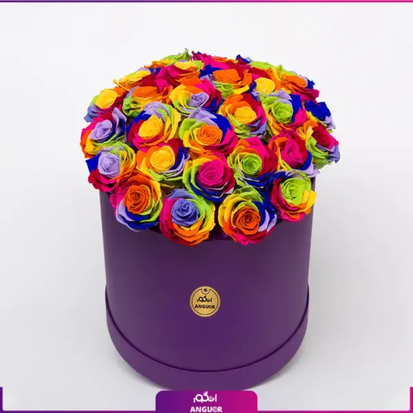 خرید و سفارش آنلاین باکس گل رز هفت رنگ - 35 شاخه رز هفت رنگ - خرید باکس گل رز هفت رنگ متوسط-انگور