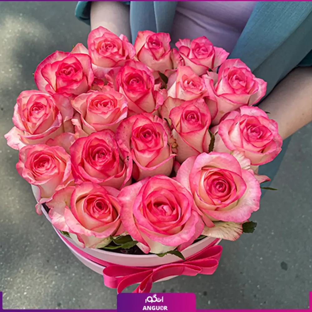 خرید باکس گل کوچک- سفارش باکس گل 17 شاخه رز لب صورتی - انگور