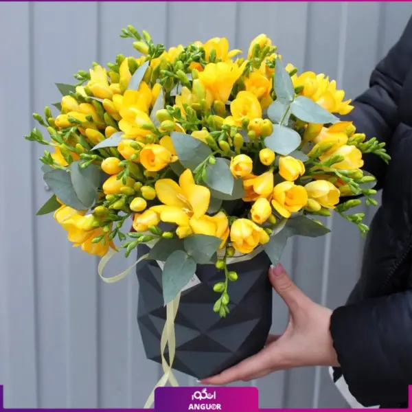 خرید و سفارش باکس گل با تم زرد- خرید باکس گل با فرزیای زرد- باکس گل 16 شاخه-انگور