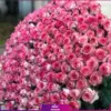 خرید دسته گل رز لب صورتی غول پیکر - سفارش آنلاین گل - 301 شاخه گل رز لب صورتی-انگور