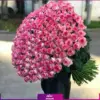 خرید دسته گل رز لب صورتی غول پیکر - سفارش آنلاین گل - 301 شاخه گل رز لب صورتی-انگور
