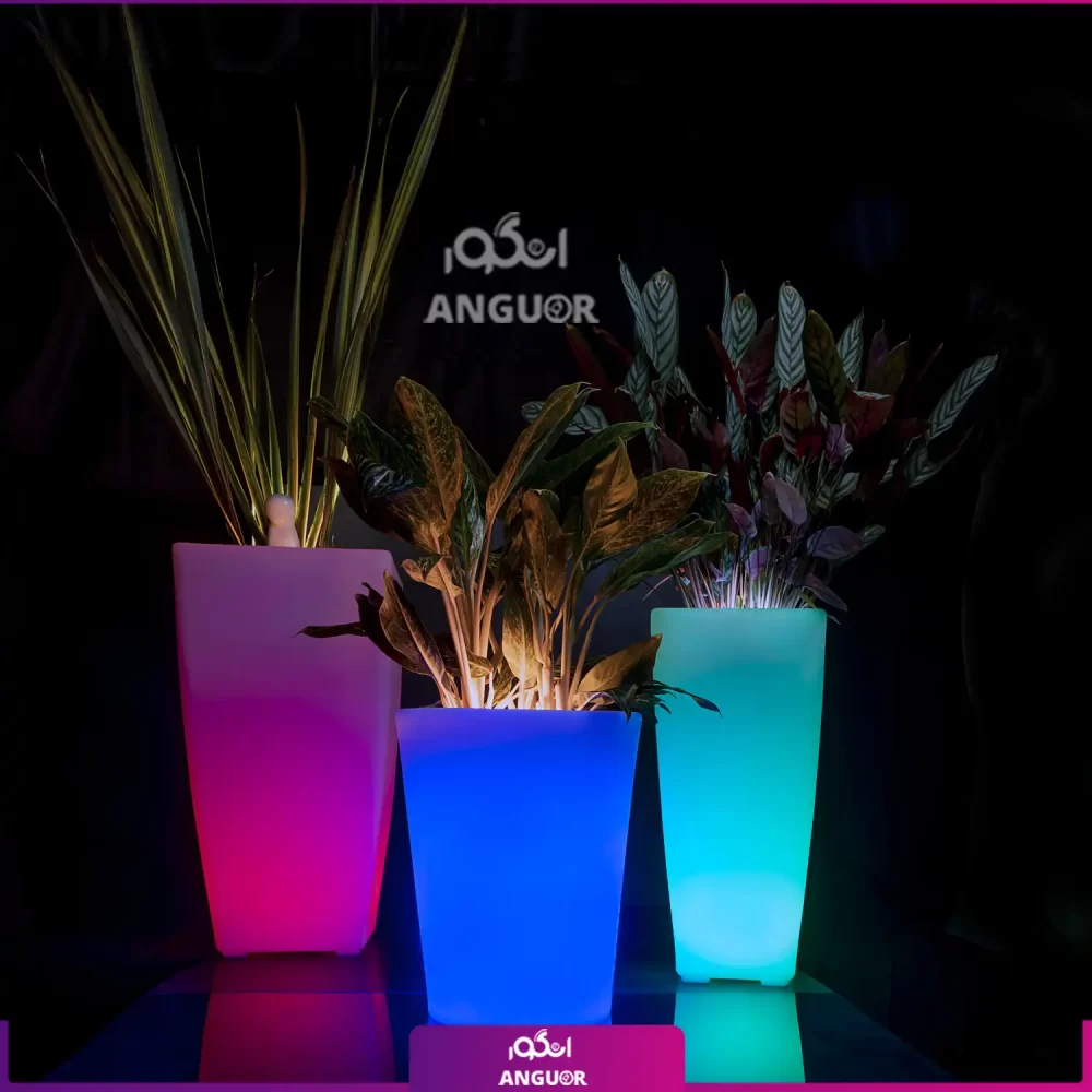 گلدان دکوراتیو نورانی '16 رنگ' همراه با یوکا سه شاخه - Image 3