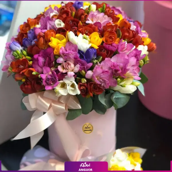 خرید باکس گل فرزیا- سفارش باکس گل رنگارنگ - باکس گل 50 شاخه ای -انگور