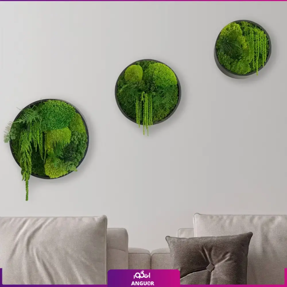 دیوار سبز خزه ای گرد بزرگ  (ماس وال طبیعی تثبیت شده) - Image 2