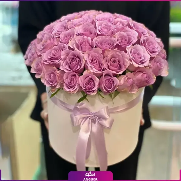خرید باکس گل رز بنفش - سفارش باکس گل به همراه رز بنفش - انگور