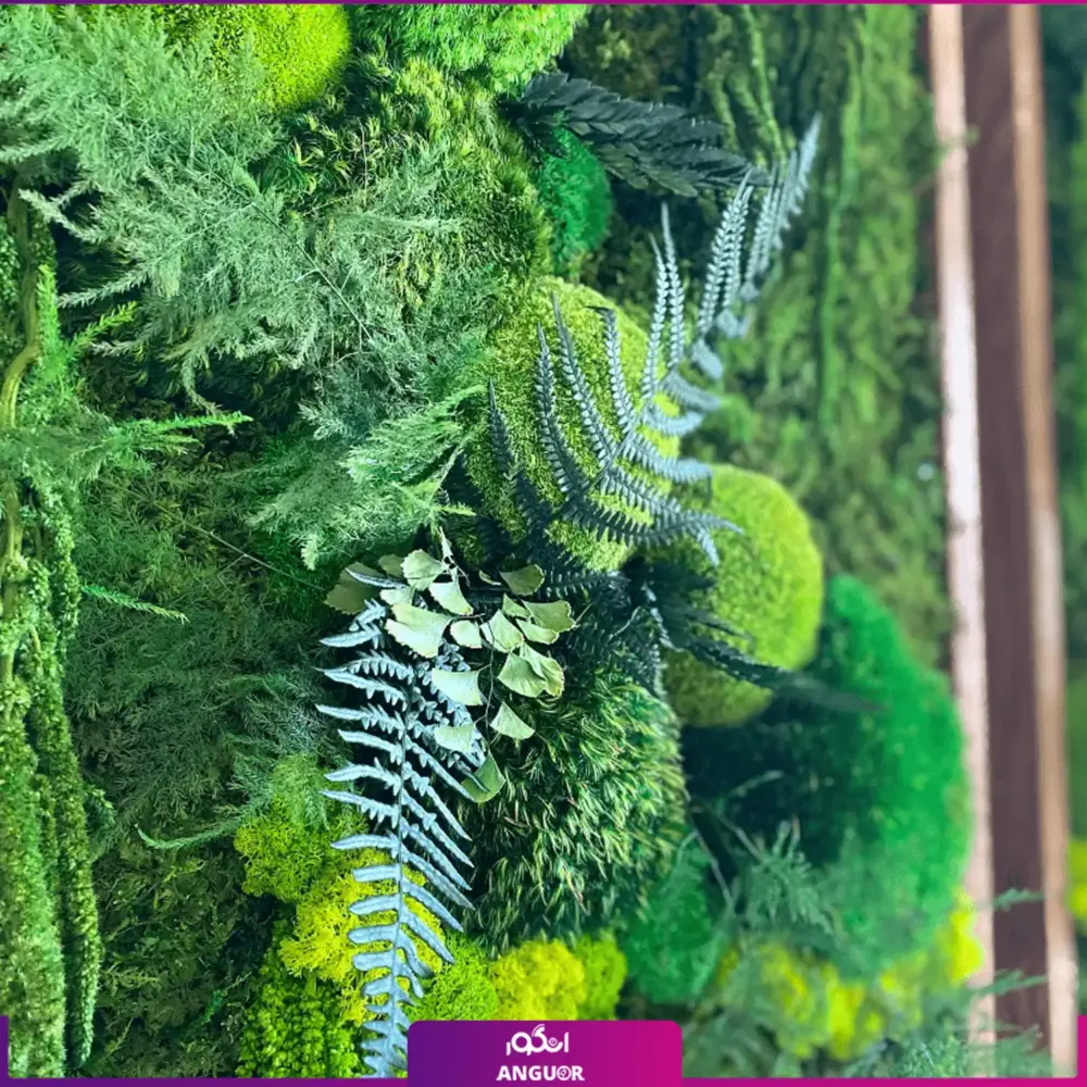 دیوار سبز خزه ای ست دوتایی (ماس وال طبیعی تثبیت شده) - Image 3