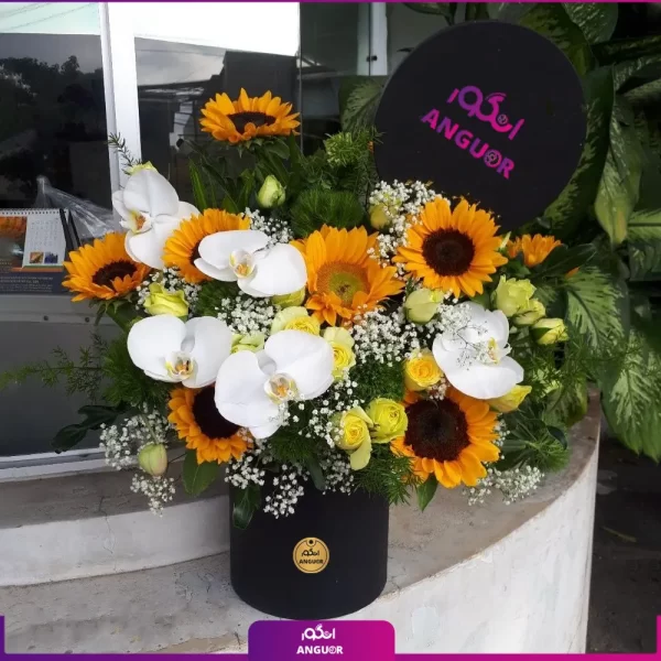 خرید و سفارش باکس گل آفتابگردان - باکس گل آفتابگردان به همراه گل ارکیده سفید - خرید باکس گل آفتابگردان به همراه رز زرد-انگور