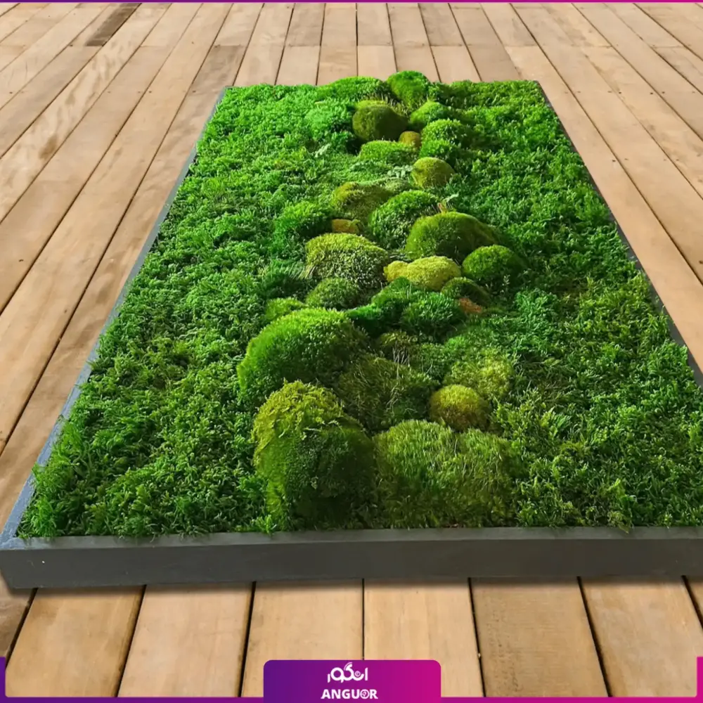 دیوار سبز خزه ای (ماس وال طبیعی تثبیت شده) - Image 4