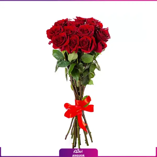 خرید و ارسال دسته گل رز قرمز - سفارش دسته گل رز قرمز 15 شاخه- دسته گل رز کوچک-انگور