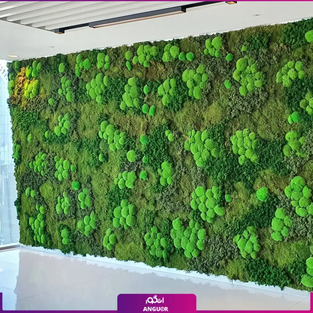 اجرای دیوار خزه ای اختصاصی با ماس وال طبیعی تثبیت شده - انگور