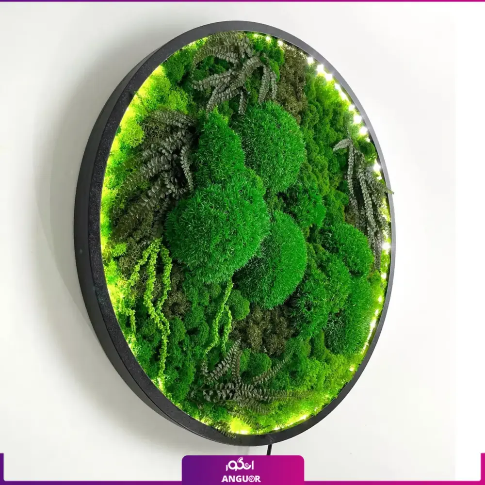 ماس وال طبیعی تثبیت شده طرح گرد LED دار - Image 3