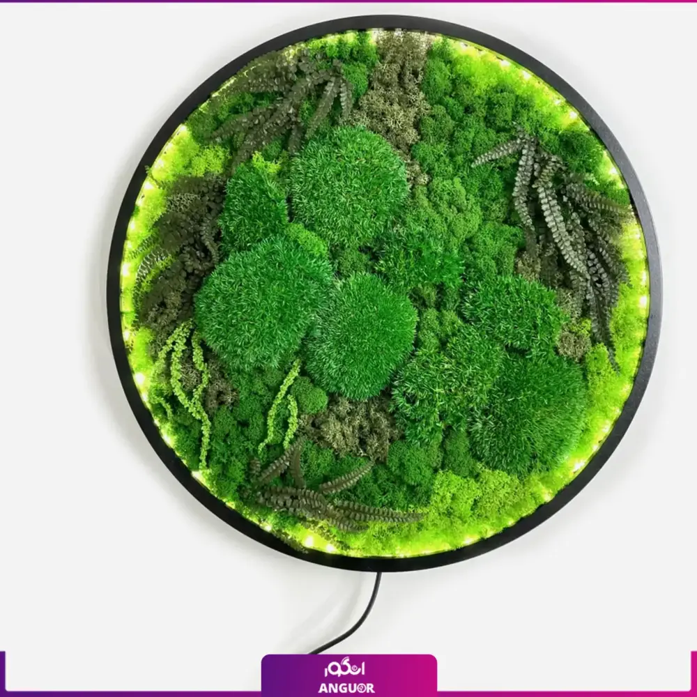 ماس وال طبیعی تثبیت شده طرح گرد LED دار - Image 2