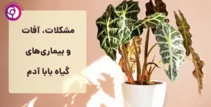مشکلات و بیماری های بابا آدم
