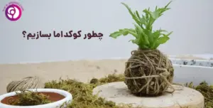 نحوه ساخت کوکداما - چطور کوکداما بسازیم؟