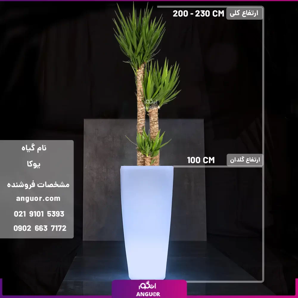 گلدان دکوراتیو نورانی '16 رنگ' همراه با یوکا سه شاخه - Image 2