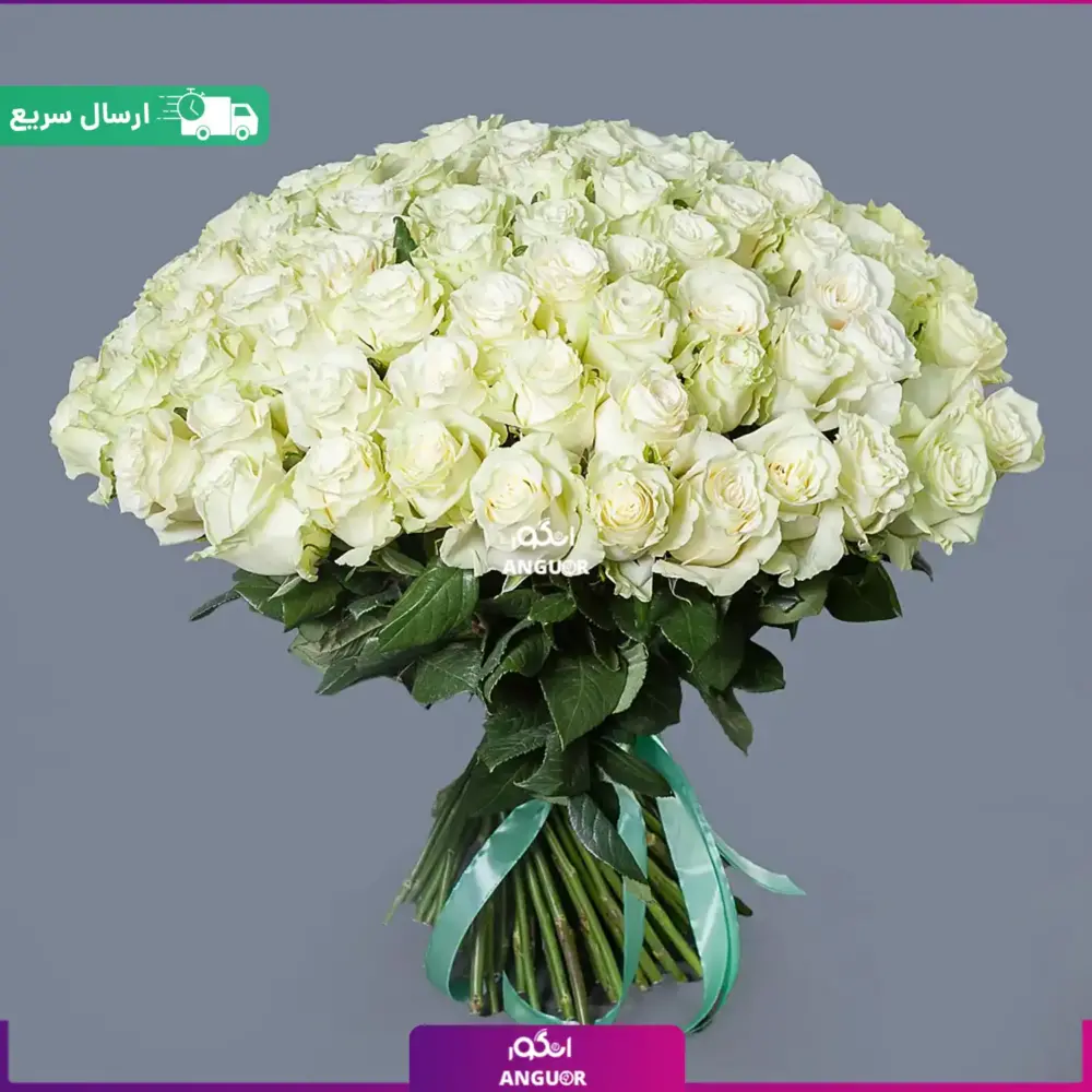 دسته گل 100 شاخه رز سفید (ارسال فوری گل) - Image 2