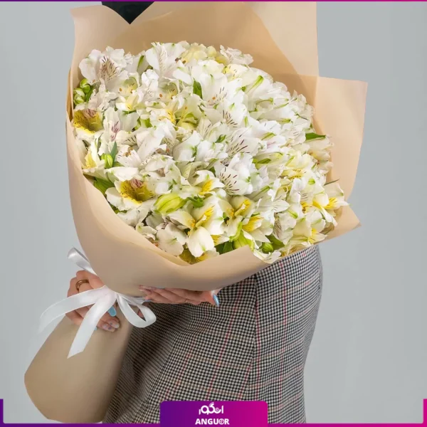 خرید آنلاین دسته گل آلستر سفید- گلفروشی آنلاین - انگور