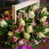 آلستر صورتی و رز سفید- خرید آنلاین باکس گل رز و آستر- انگور