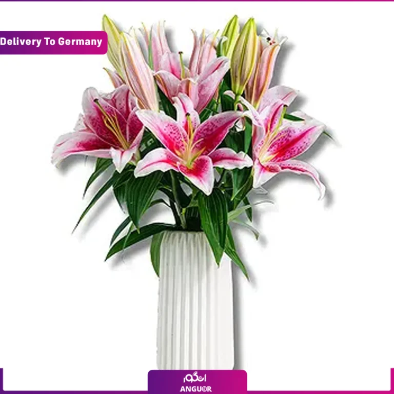 گل فروشی آنلاین محلاتی - انگور