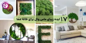 ایده های زیبای ماس وال برای خانه شما