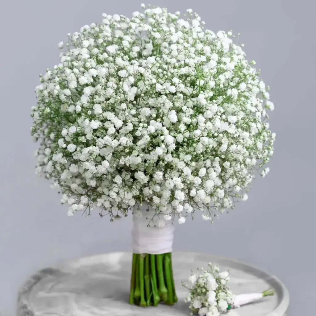 دسته گل ژیپسوفیلا عروس توپی