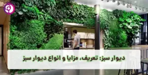 دیوار سبز - تعریف، مزایا و انواع دیوار سبز