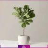 خرید و سفارش لیراتا - خرید لیراتا به همراه گلدان - سفارش آنلاین گل
