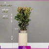 گلدان هدیه لوکس فیکوس الاستیکا سه شاخه فایبر گلاس - Image 3