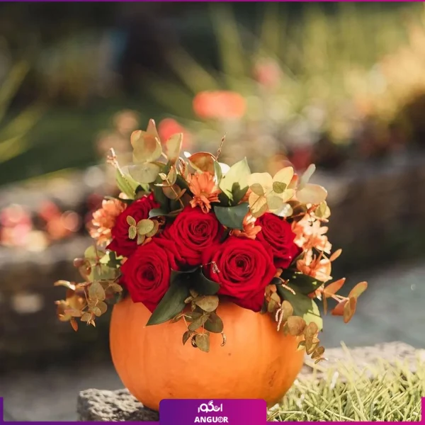 خرید کدو حلوایی - سفارش آنبلاین گل - گل آرایی کدو حلوایی - جشن هالووین
