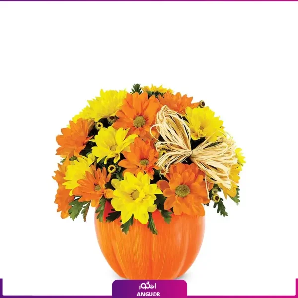 خرید آنلاین گل - باکس گل هالووین - کدو آرایی برای هالووین