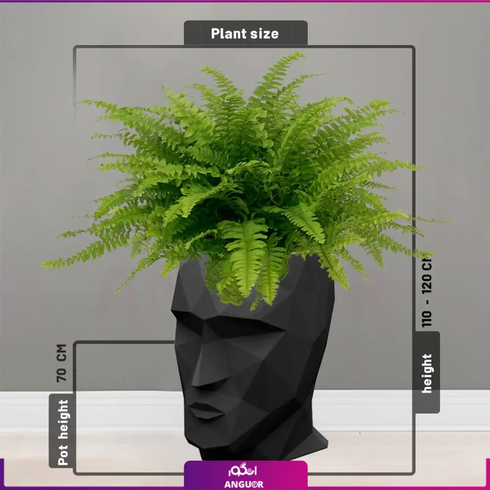 گلدان طرح چهره manface همراه سرخس برگ شمشیری - Image 2